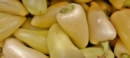 Picture of Caloro Chilli Pepper